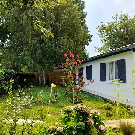 Le Paradis Villa Ares